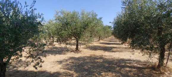 Casa de 15 divisões em Montefalco, Italy N.º 73913 16