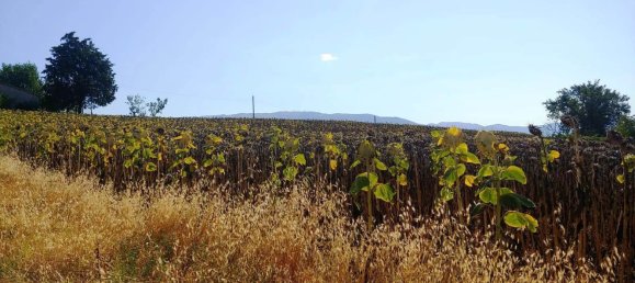 Casa de 15 divisões em Montefalco, Italy N.º 73913 20