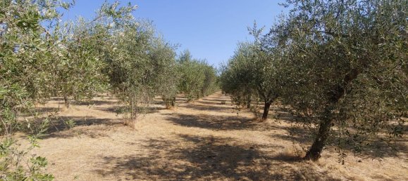 Casa de 15 divisões em Montefalco, Italy N.º 73913 21