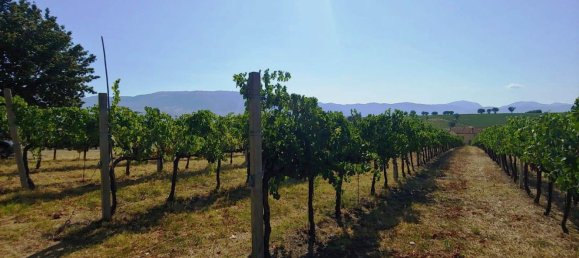 Casa de 15 divisões em Montefalco, Italy N.º 73913 11