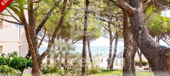 4 bedrooms Villa in Argeles-sur-Mer, France No. 342207 6