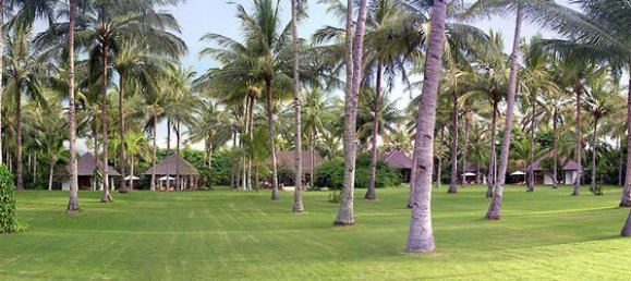 4 Schlafzimmer Villa in Tanjung, Indonesia, Nr. 2943 8