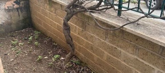 Casa de 4 divisões em Capena, Italy N.º 44085 30