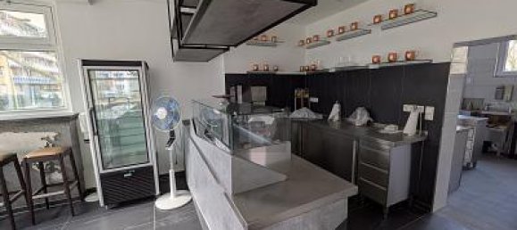 Коммерческая недвижимость с 5 комнатами в Майнц, Германия № 102499 4