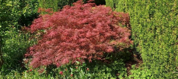 5 chambres Maison de ville à Ostalbkreis, Germany No. 336688 5