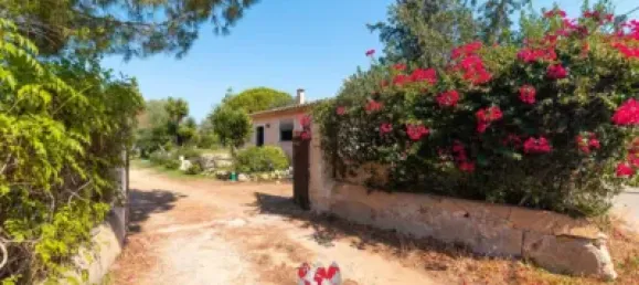 3 chambres Maison à Llucmajor, Spain No. 172152 32