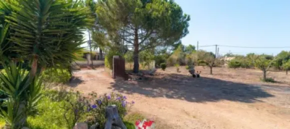 3 chambres Maison à Llucmajor, Spain No. 172152 30