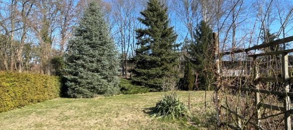 5 rooms House in Oberhavel, Germany No. 293525 16