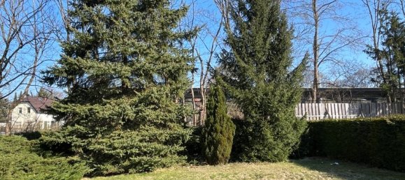 5 rooms House in Oberhavel, Germany No. 293525 17