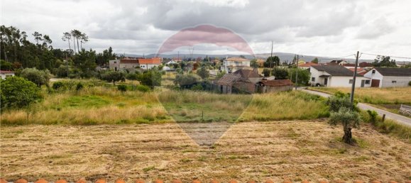 6 غرف نوم منزل في Pombal, Portugal رقم 19695 38