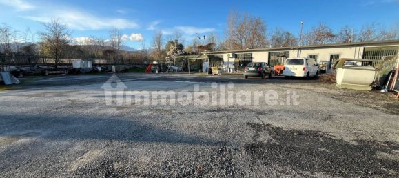 3-Zimmer Gewerbliche Immobilie in Pinerolo, Italy, Nr. 69233 10