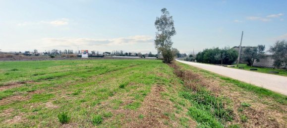 1-salle Terrain à Latina, Italy No. 146682 17