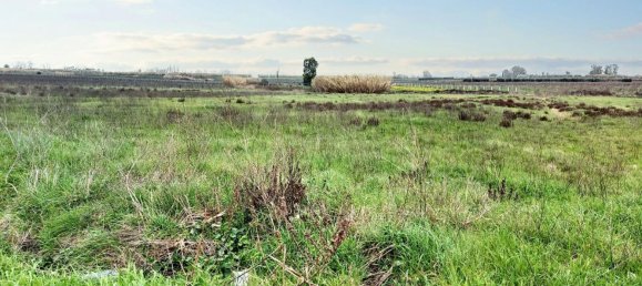 1-salle Terrain à Latina, Italy No. 146682 8