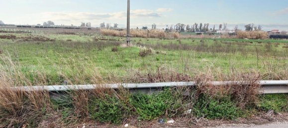 1-salle Terrain à Latina, Italy No. 146682 21