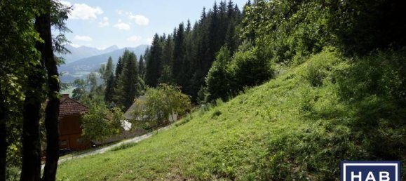 683m² Land in Liezen, Austria No. 205148 3