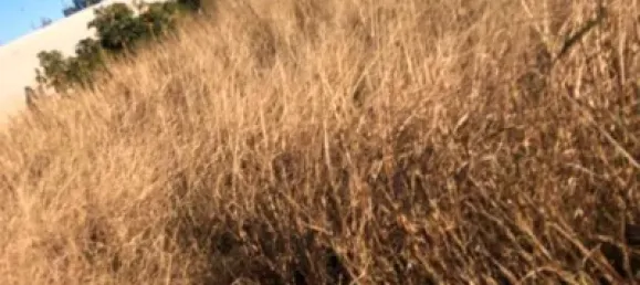  قطعة أرض في Bellreguard, Spain رقم 175955 5