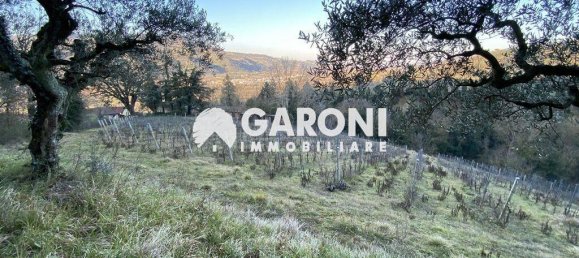 3-Zimmer Haus in Brisighella, Italy, Nr. 35967 6