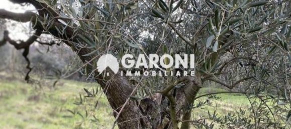 3-Zimmer Haus in Brisighella, Italy, Nr. 35967 5