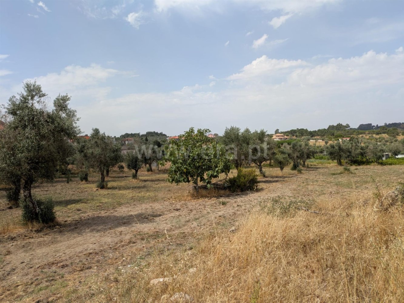  Land in Vila Nova de Tazem, Portugal No. 281931