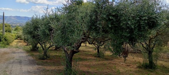 Studio in Rocca Priora, Italy No. 270290 14