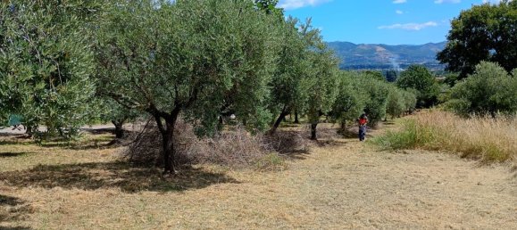 Studio in Rocca Priora, Italy No. 270290 23