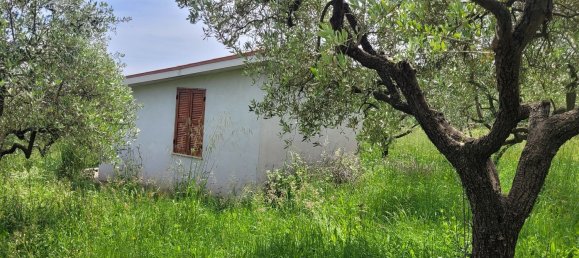 Studio in Rocca Priora, Italy No. 270290 2
