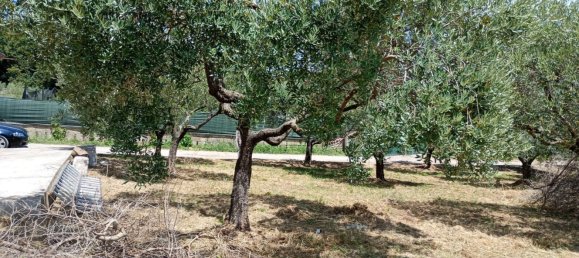 Studio in Rocca Priora, Italy No. 270290 22