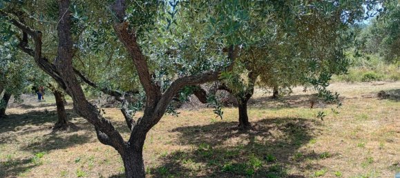 Studio in Rocca Priora, Italy No. 270290 21