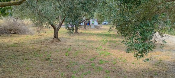 Studio in Rocca Priora, Italy No. 270290 13