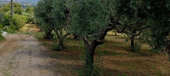 Studio in Rocca Priora, Italy No. 270290 15