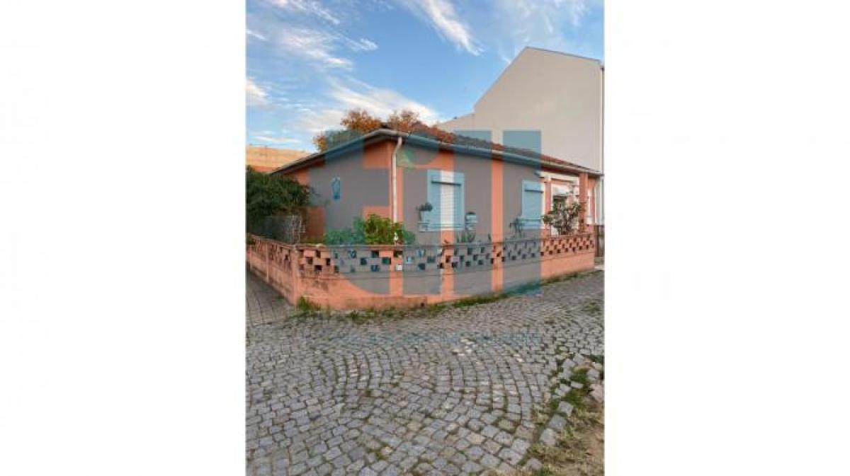 استوديو في Porto, Portugal رقم 6224