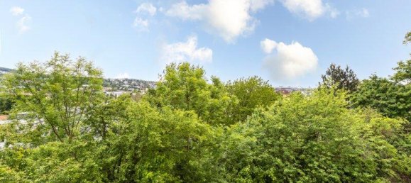 3 rooms Apartment in Hietzing, Austria No. 156116 8