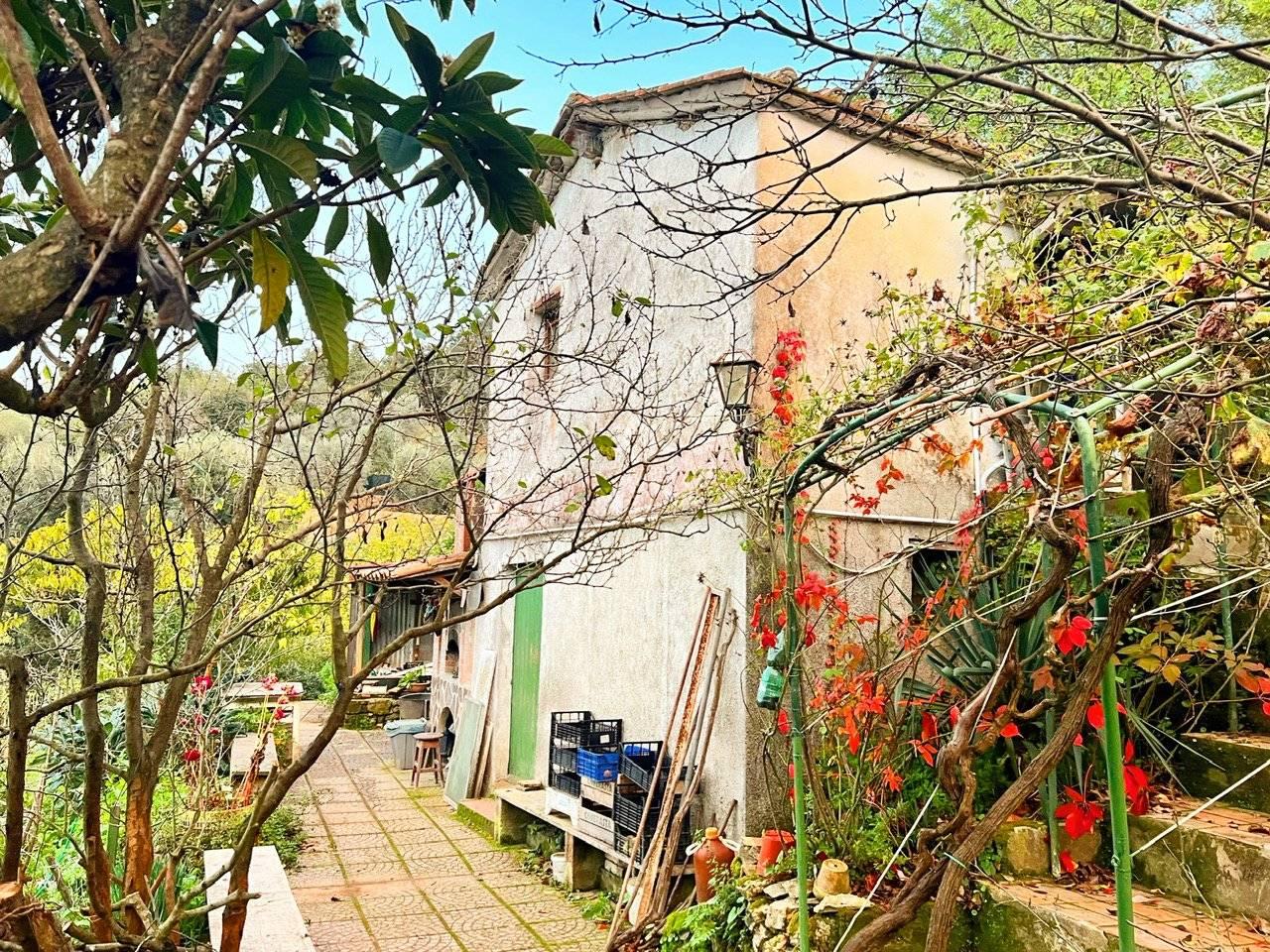 2 rooms House in Monte Argentario, Italy No. 173679