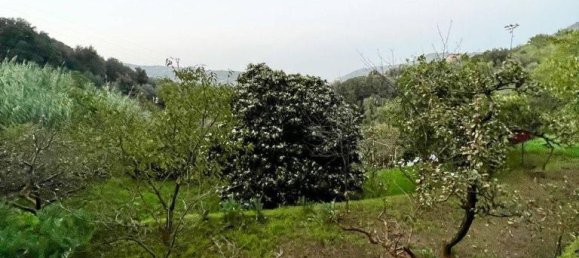 2 rooms House in Monte Argentario, Italy No. 173679 6