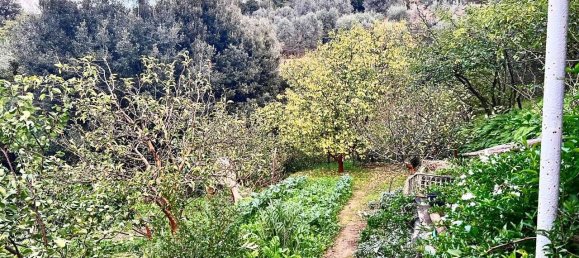 2 rooms House in Monte Argentario, Italy No. 173679 5