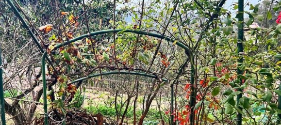 2 rooms House in Monte Argentario, Italy No. 173679 2