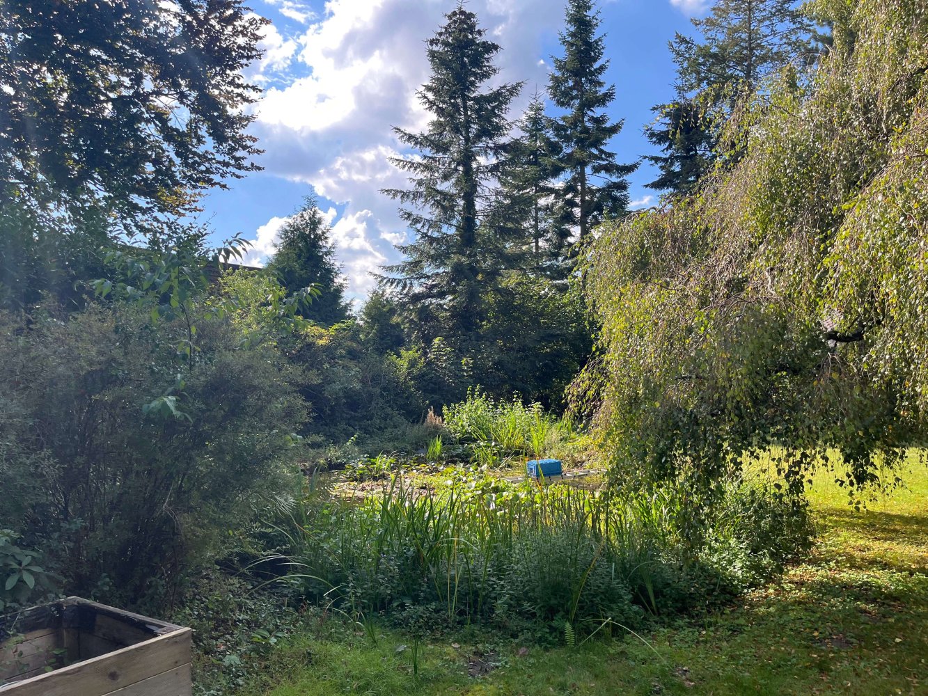 Земельный участок в Ротенбург, Германия № 311691