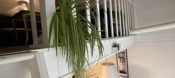 19m² Commercial property in Lille, France No. 239770 5