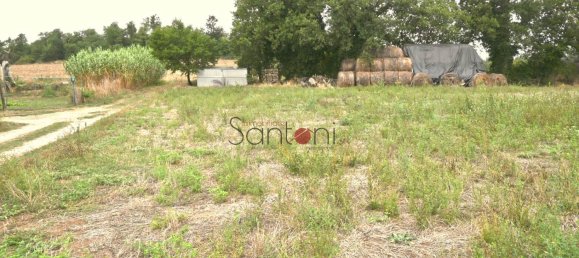 Terrain à Viterbo, Italy 4020m² No. 314139 6