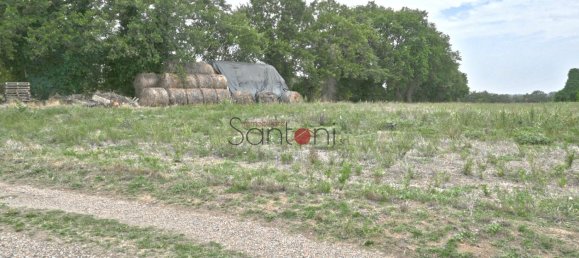 Terrain à Viterbo, Italy 4020m² No. 314139 11