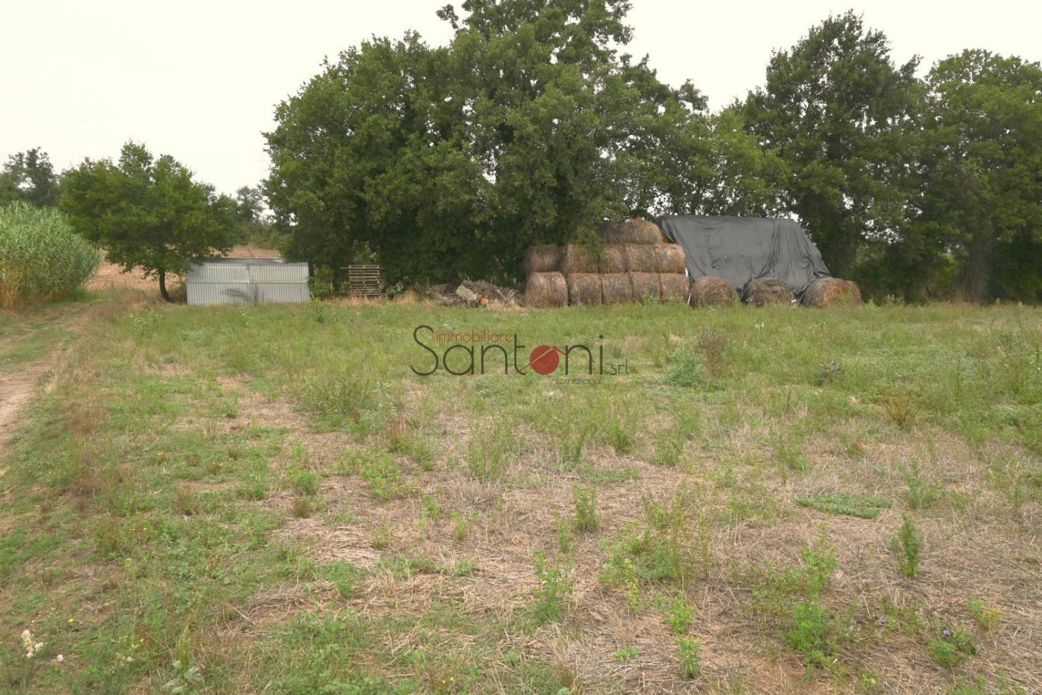 Terrain à Viterbo, Italy 4020m² No. 314139