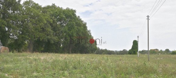 Terrain à Viterbo, Italy 4020m² No. 314139 2