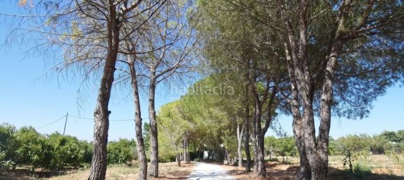 Casa T4 em Coin, Spain N.º 80013 27