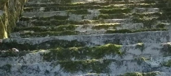 7 chambres Villa à Arcinazzo Romano, Italy No. 381543 8