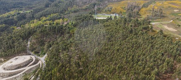 قطعة أرض في Travassos, Portugal 8208متر مربع رقم 40928 4