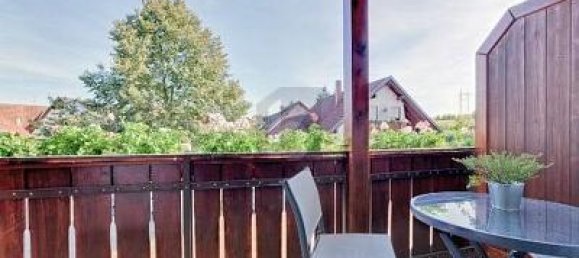 20 rooms Hotel in Lorrach, Germany No. 316712 5