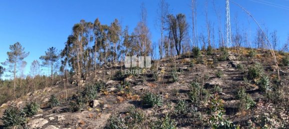  قطعة أرض في Baiao, Portugal 1320متر مربع رقم 56156 6