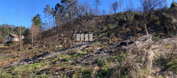  قطعة أرض في Baiao, Portugal 1320متر مربع رقم 56156 2