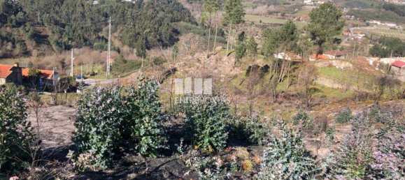  قطعة أرض في Baiao, Portugal 1320متر مربع رقم 56156 14