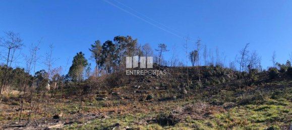  قطعة أرض في Baiao, Portugal 1320متر مربع رقم 56156 26